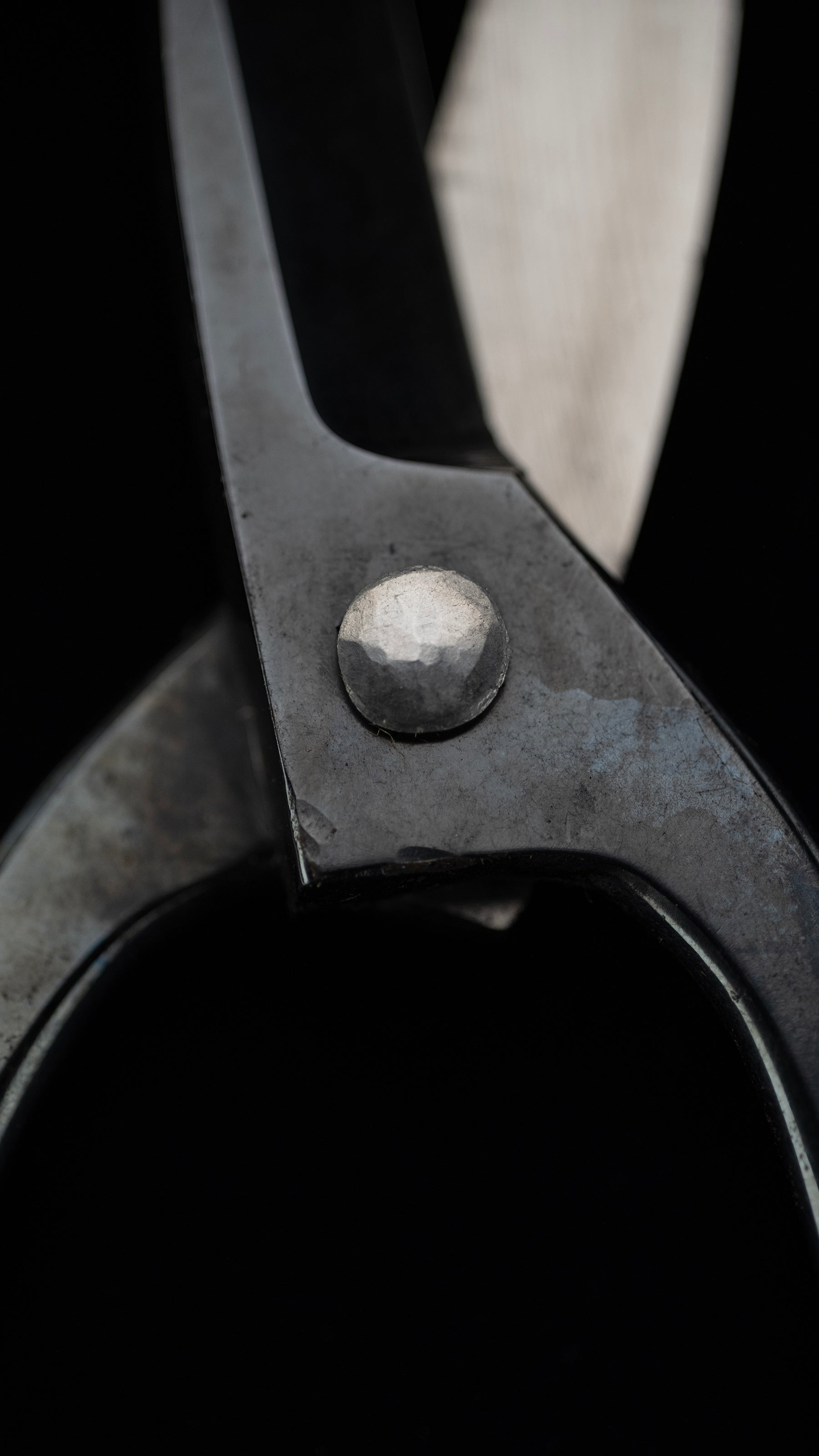 Bonsai-basami Japanese Specially Made Trimming Shears By Masakuni Ⅱ - #101