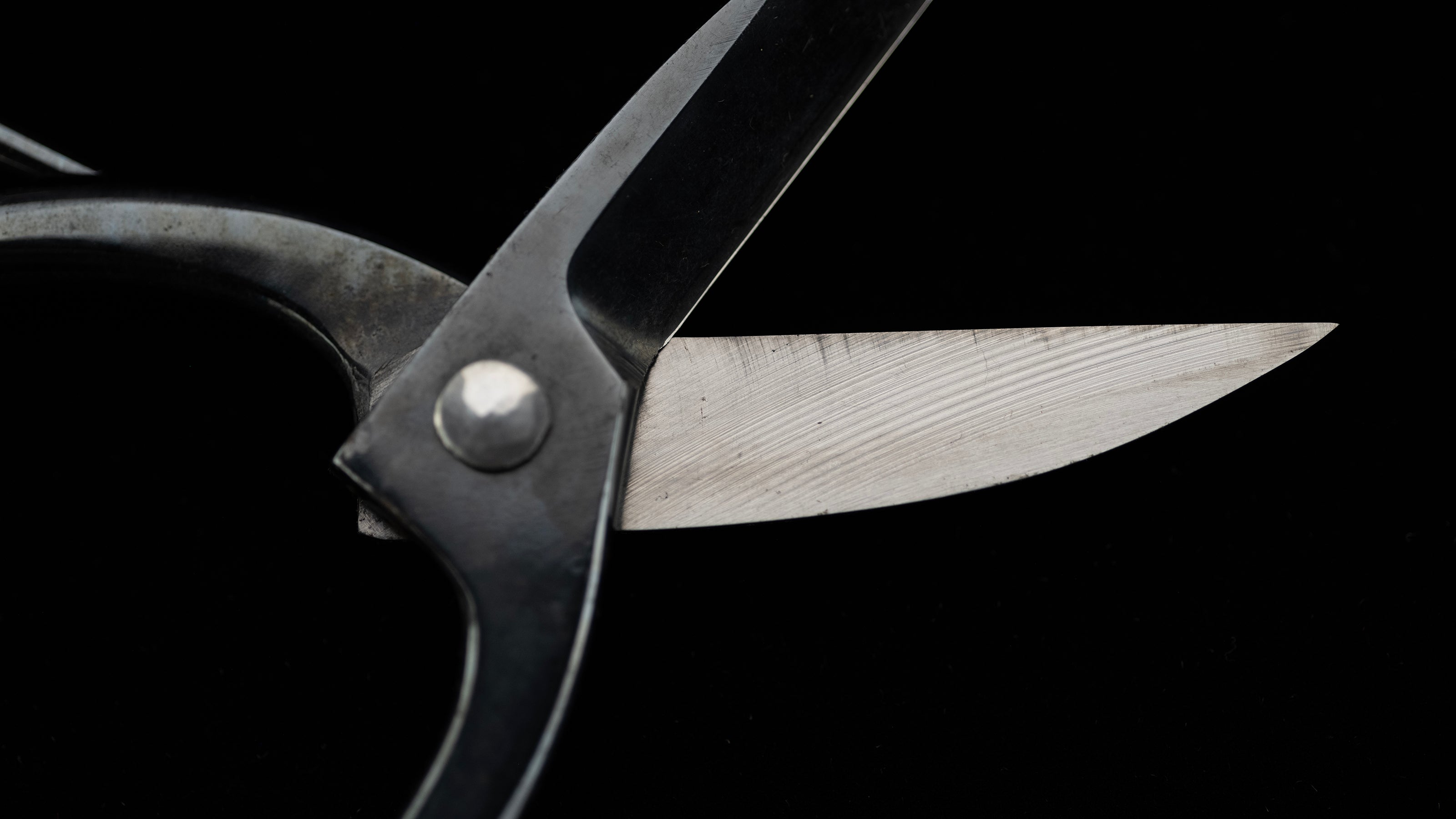 Bonsai-basami Japanese Specially Made Trimming Shears By Masakuni Ⅱ - #101