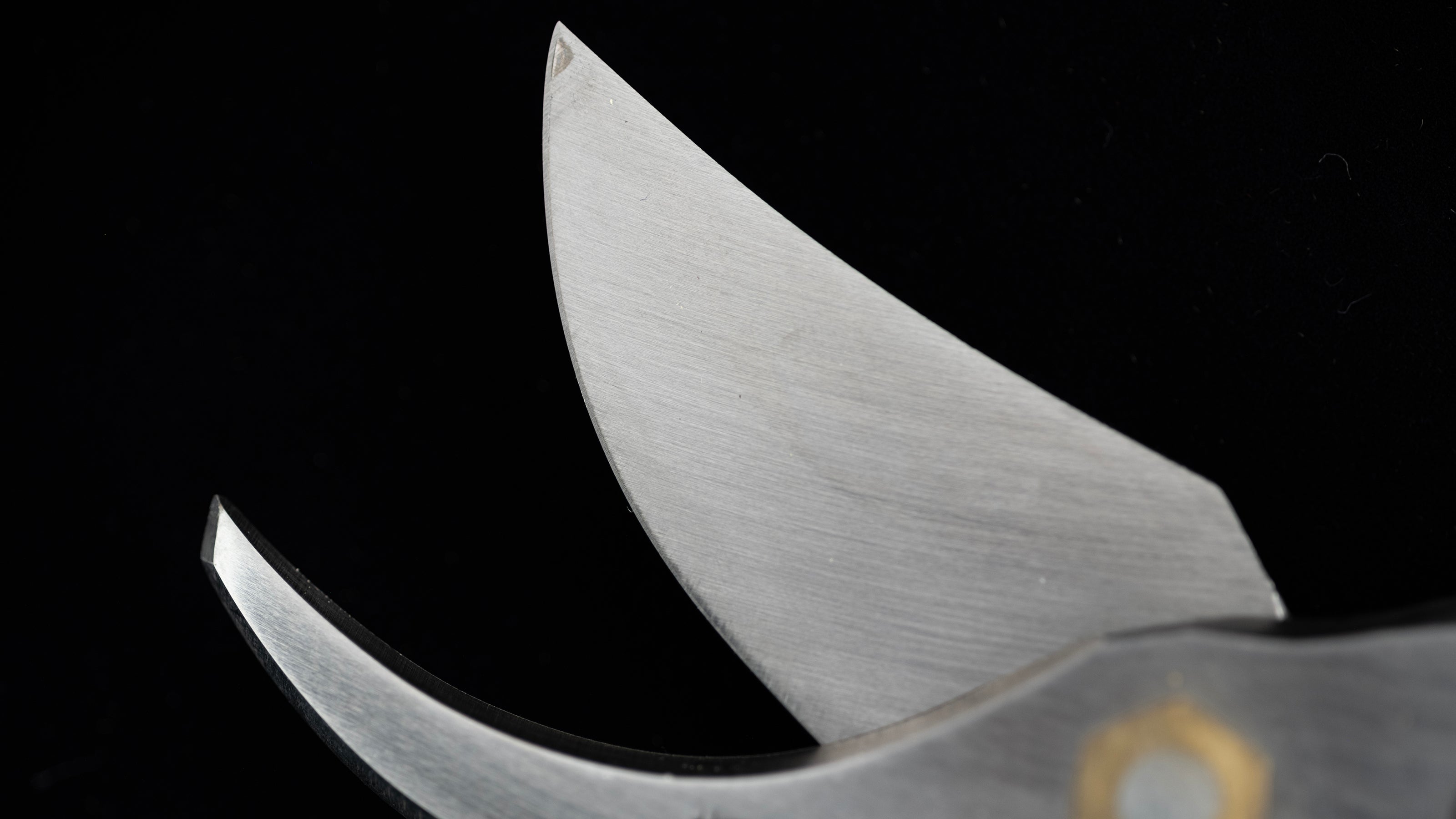 Sentei-basami Japanese Hand Forged Pruning Shears By Minamotofusamichi