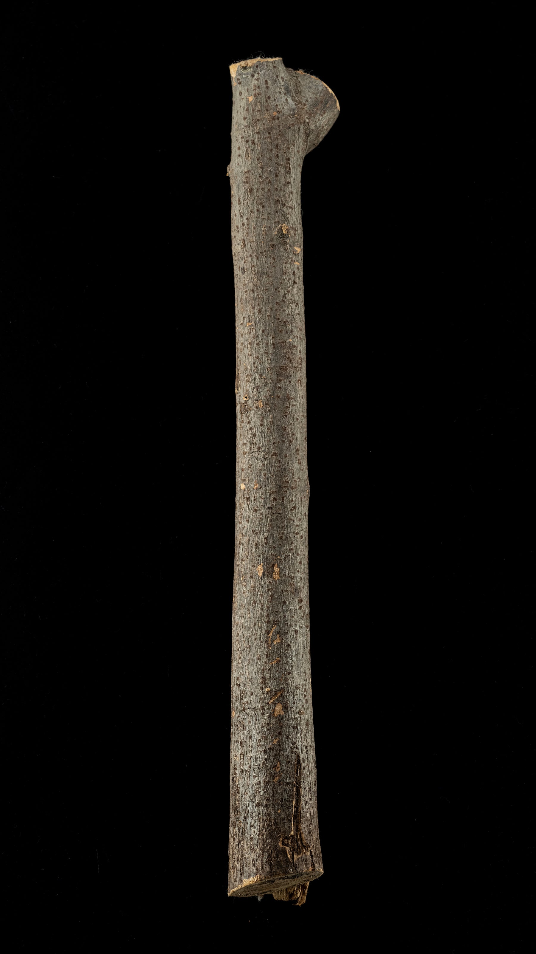 Tool handle raw materials - Japanese Gumi