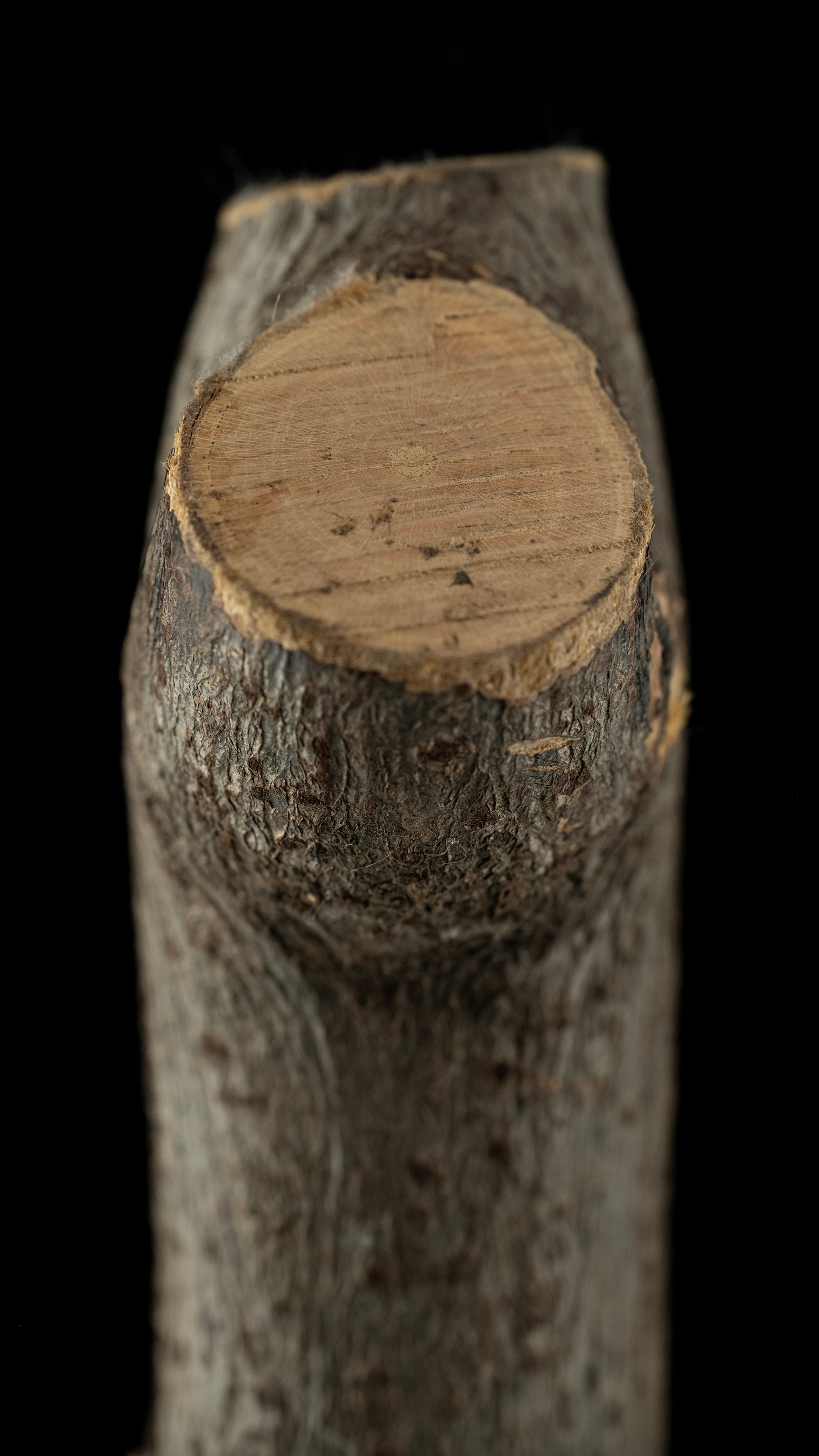 Tool handle raw materials - Japanese Gumi