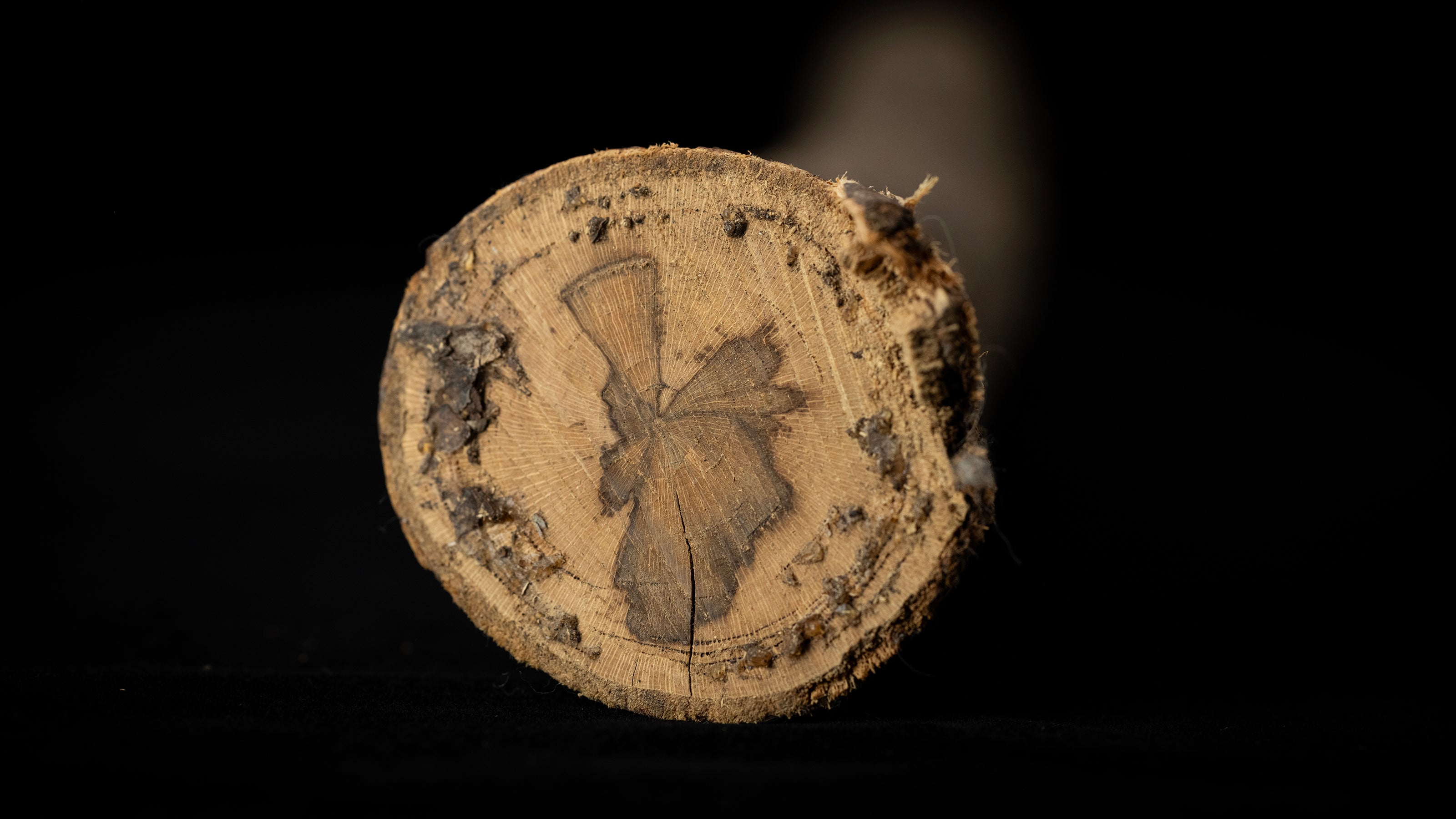 Tool handle raw materials - Japanese Gumi