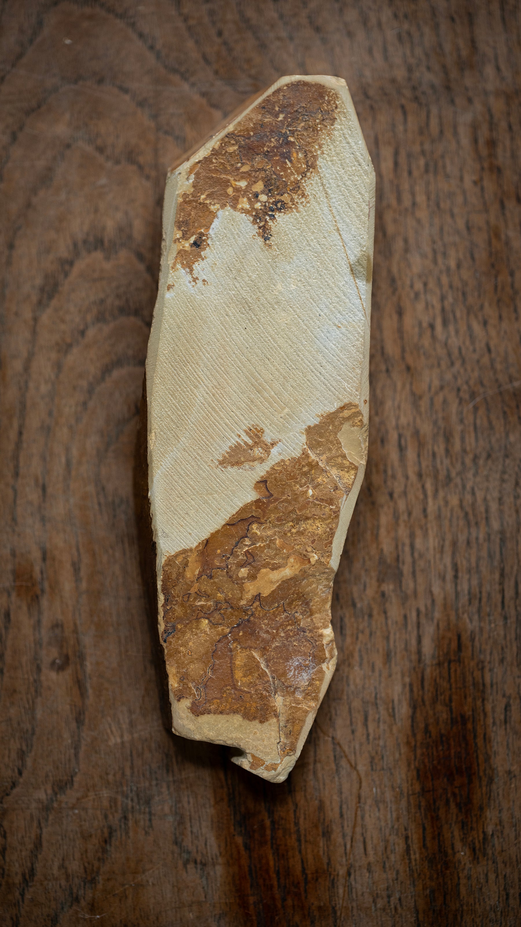 Nakayama Tomae Japanese Natural Finishing Stone - 346g