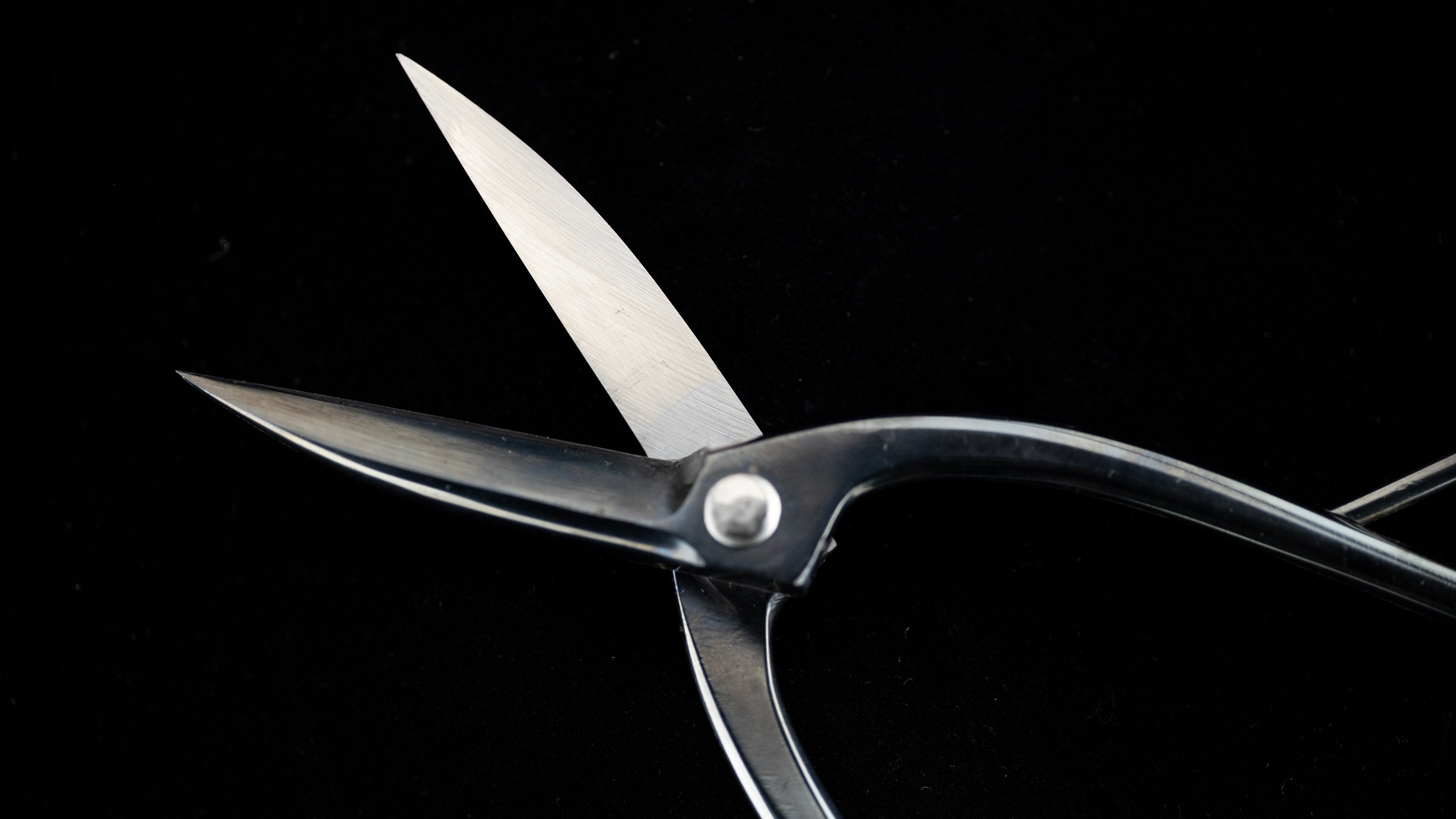 Bonsai-basami Japanese Specially Made Trimming Shears By Masakuni Ⅱ - #102