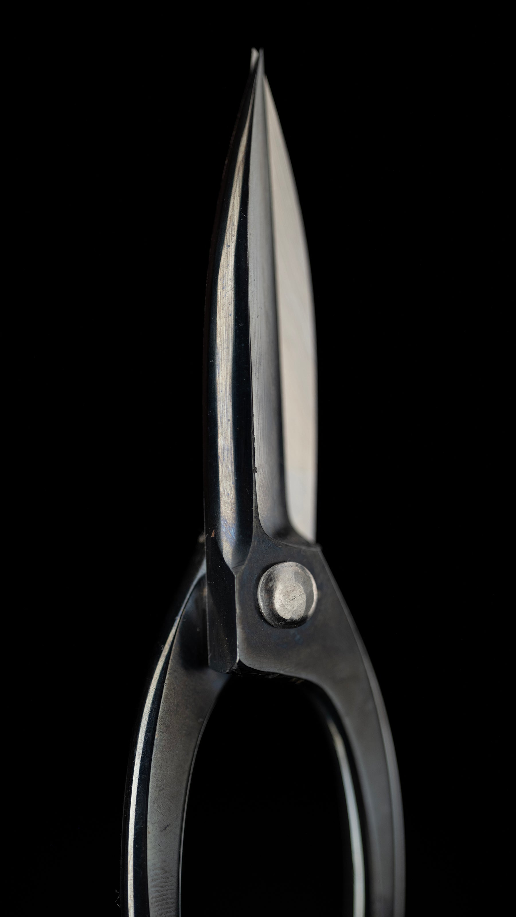 Bonsai-basami Japanese Specially Made Trimming Shears By Masakuni Ⅱ - #102