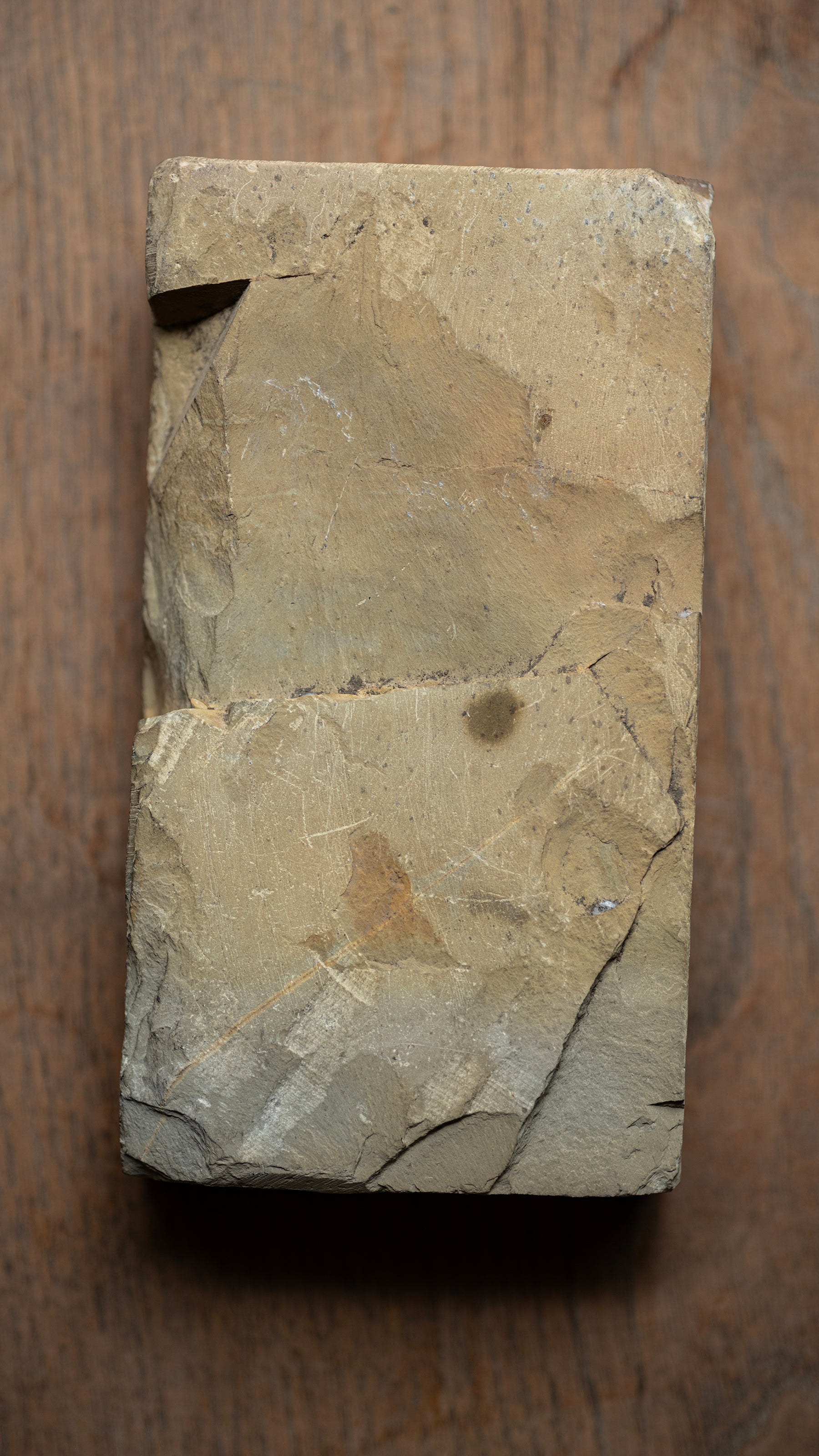 Shohonyama Tomae Japanese Natural Finishing Stone