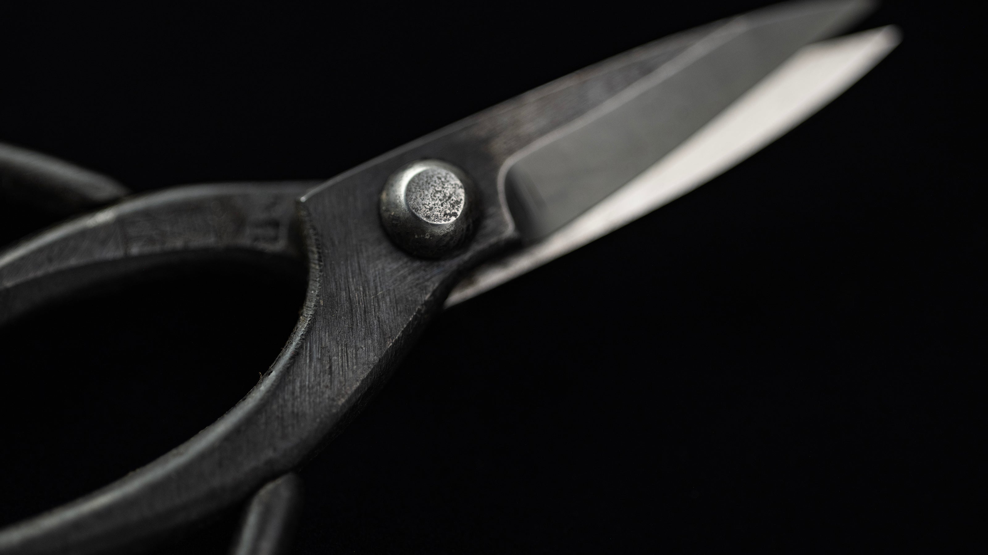 Bonsai basami  Japanese Hand Made Bonsai Scissors By Kisaku - Small