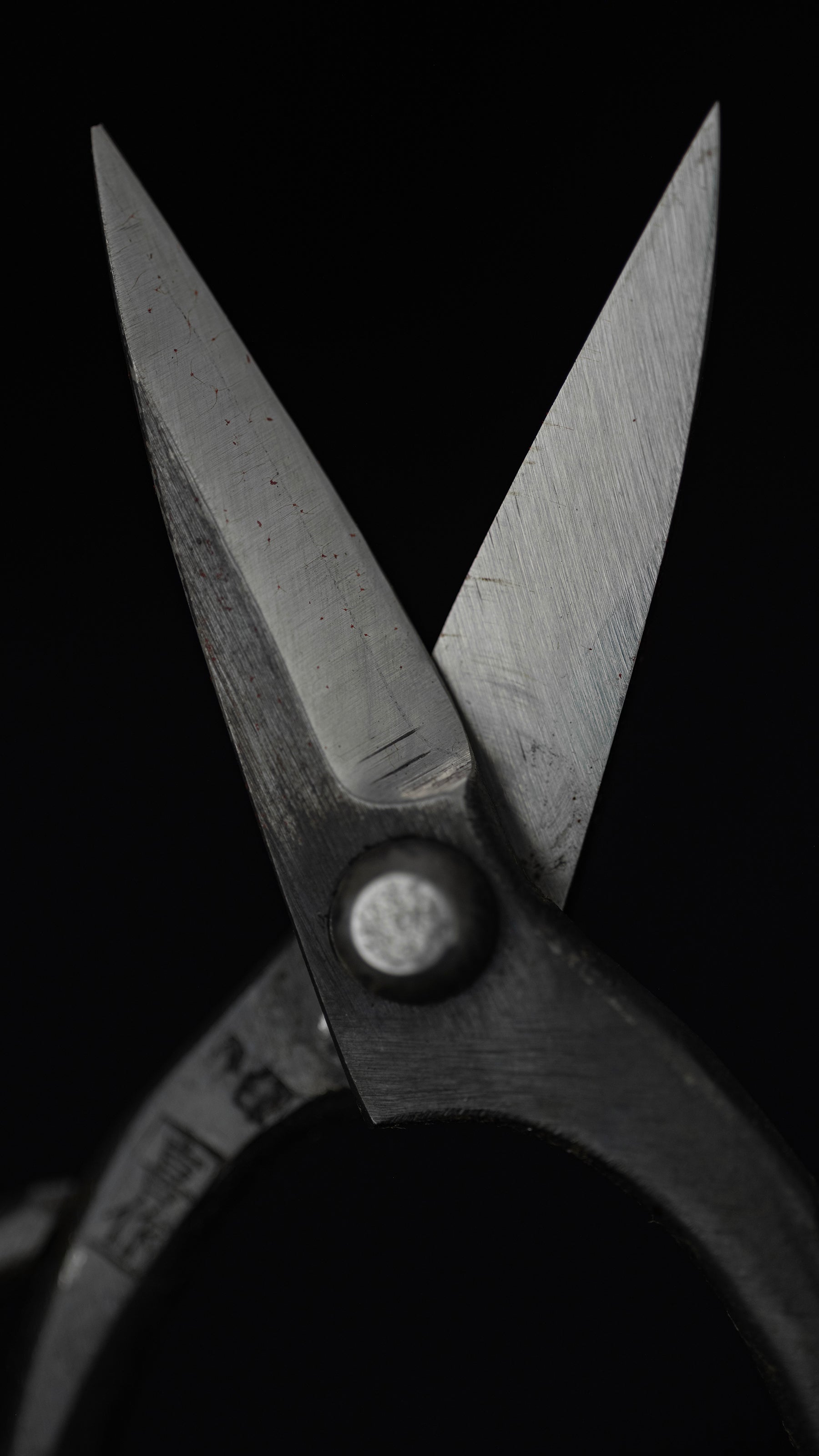 Bonsai basami  Japanese Hand Made Bonsai Scissors By Kisaku - Small