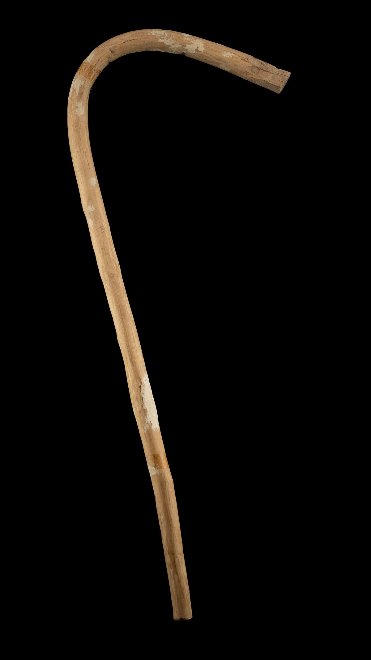 Japanese Chouna/Adze Handle ②