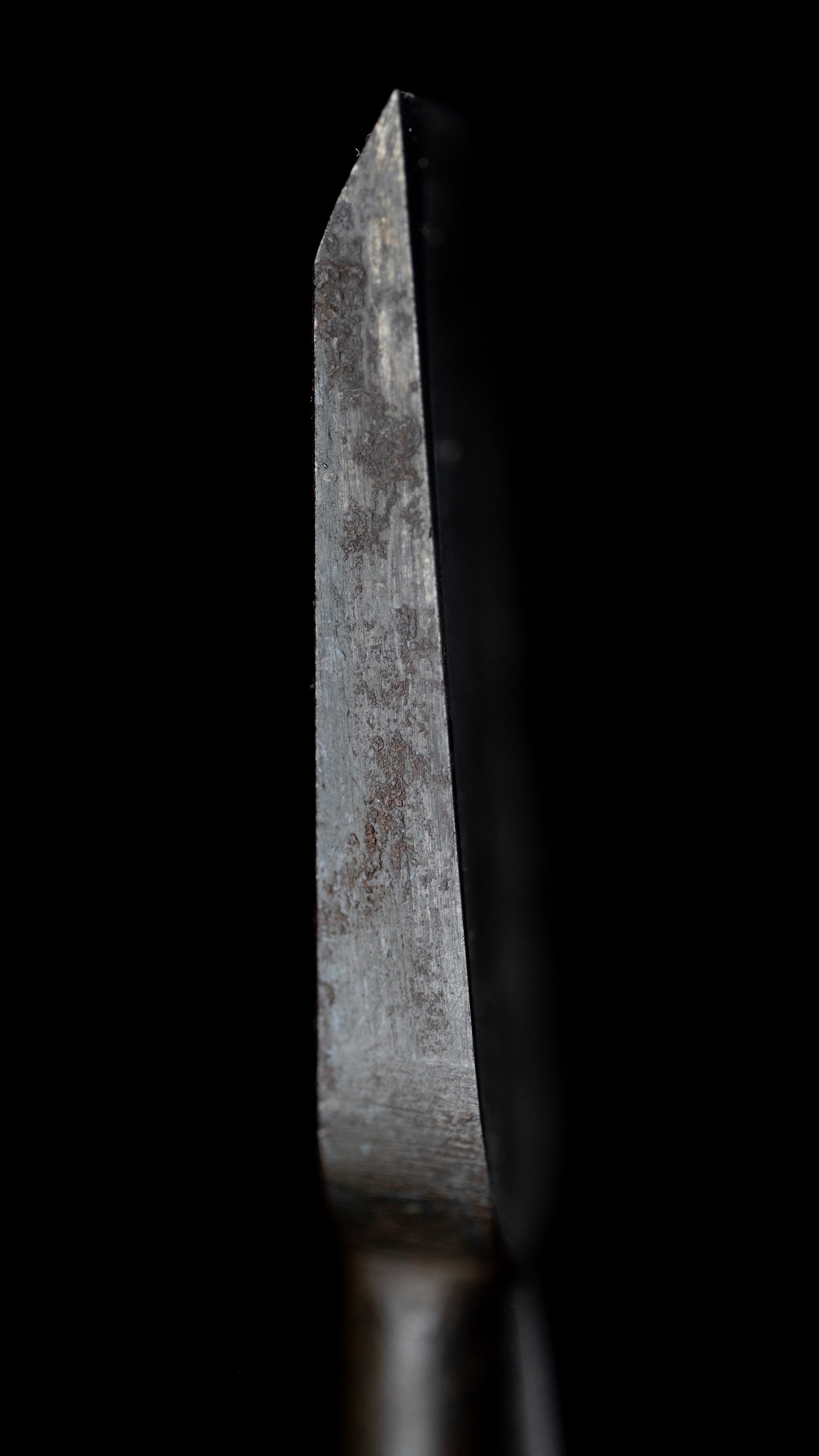 Oire-Nomi Japanese Hand Made Bench Chisel By Tadahiro - 30mm