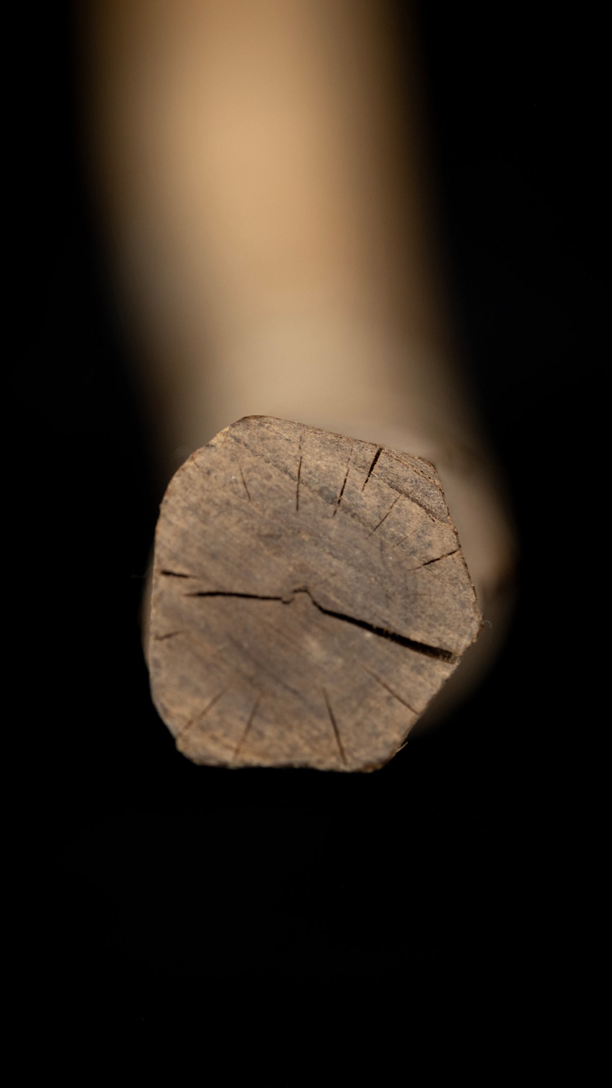 Japanese Chouna/Adze Handle ②